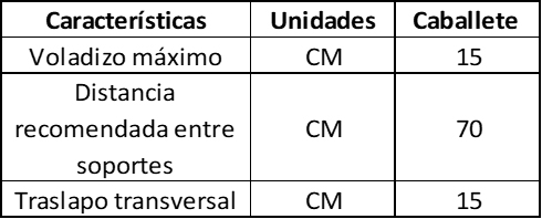 CARACTERISTICAS-CABALLETE